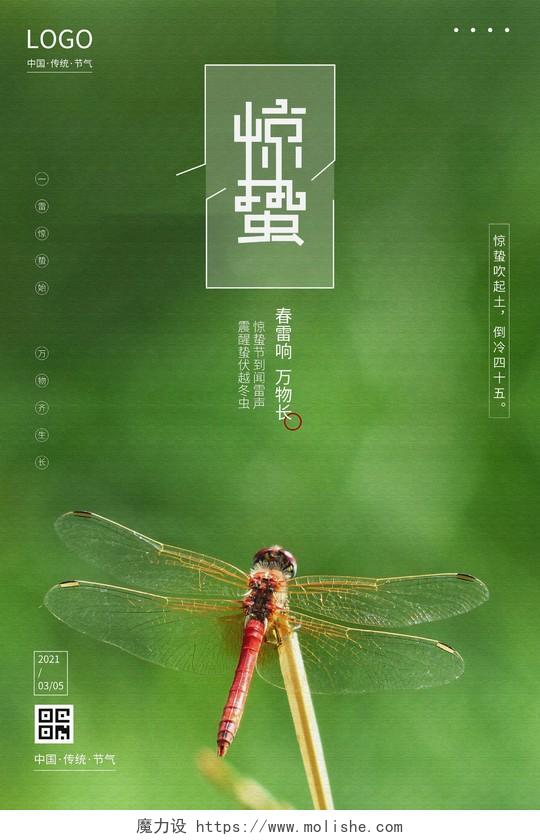惊蛰中国传统节气春天蜻蜓宣传海报24节气二十四节气惊蛰